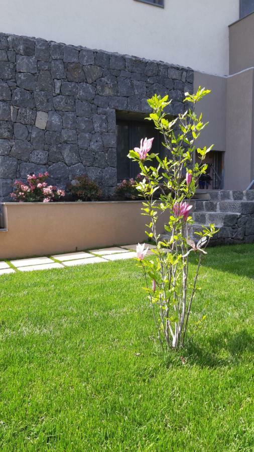 Anna & Alfredo Bed And Breakfast Дзаферана Етнеа Екстериор снимка